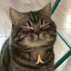 Shoyo Profile Picture