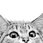 CuriousCat99 Profile Picture