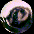 Admin.Nick2 Profile Picture